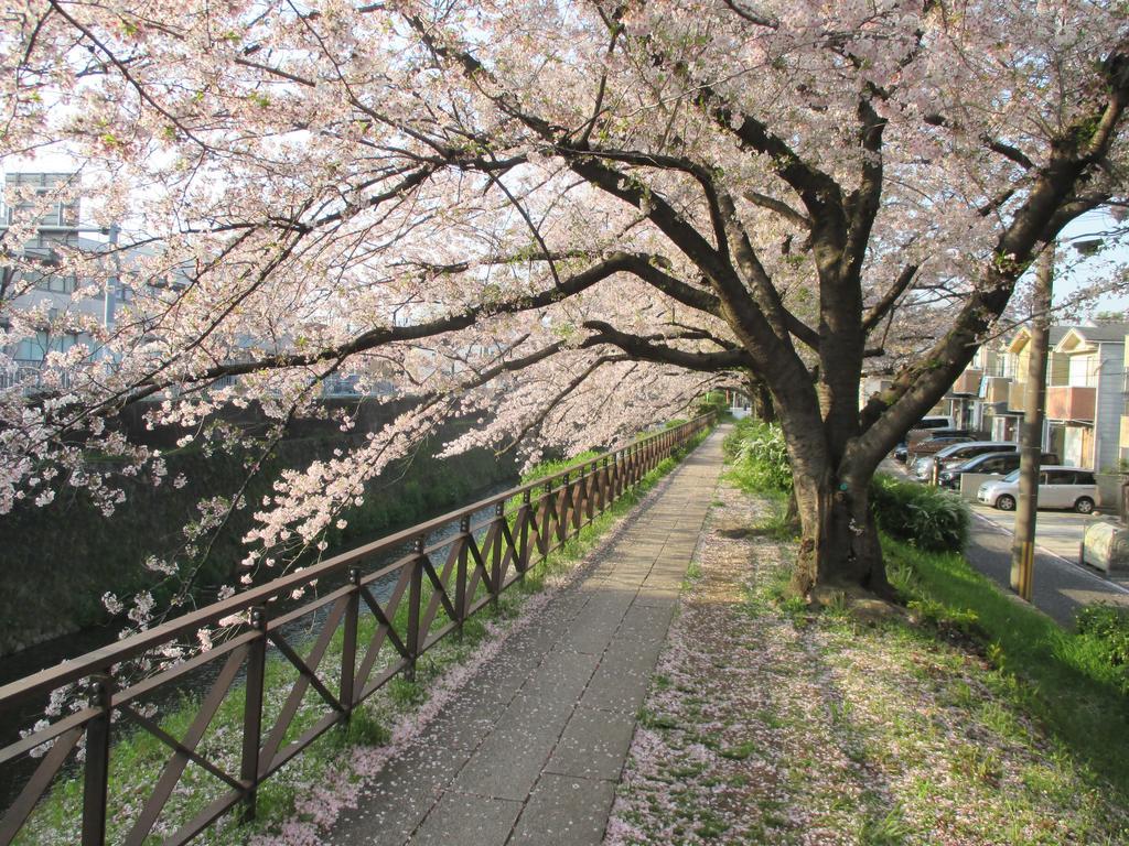 Ferienwohnung Estate Tokyu Nishikyogoku Kyōto Exterior foto